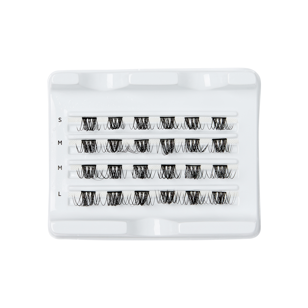 A white tray containing four rows of false eyelashes in different sizes, labeled S, M, M, and L.