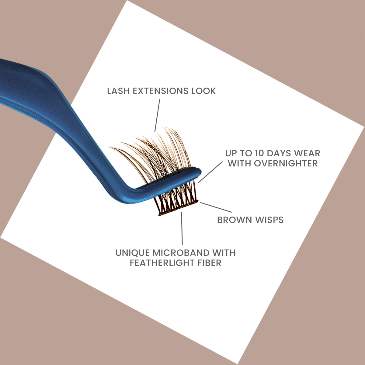 FALSCARA Brown Eyelash Extension Kit - Brownie